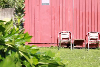 Close-up of chair against plants