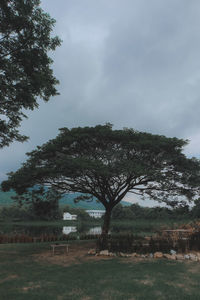 Trees on field against sky
