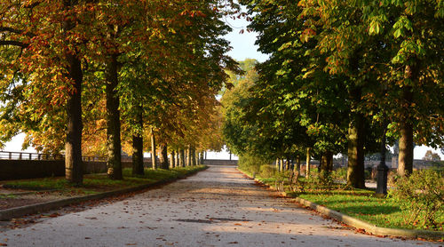 Road amidst trees during autumn