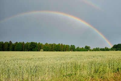 Scenic view of field against rainbow in sky