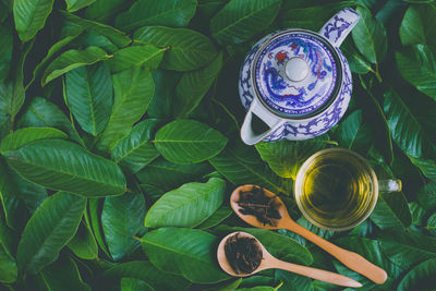 High angle view of herbal tea with teapot on leaves