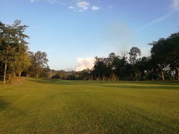 Scenic view of grassy field against sky