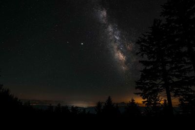 Low angle view of silhouette trees against sky at night