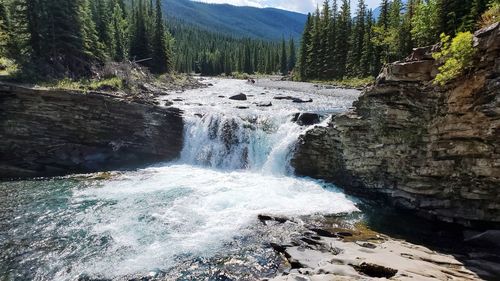 Scenic view of waterfall in forest