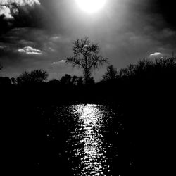 Reflection of trees in water