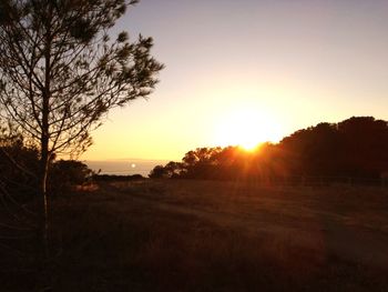 Scenic view of sunset