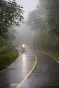 Woman riding touring motorbike through rain forest, jujuy / argentina