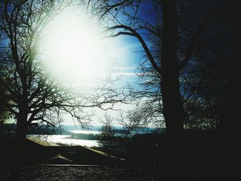 Silhouette trees against sky