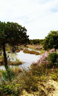 Scenic view of lake against sky