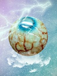 Close up of turtle in water