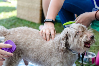 Low section of man holding dog