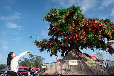 Woman by tree against sky