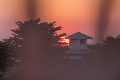 Silhouette tree by building against sky at night