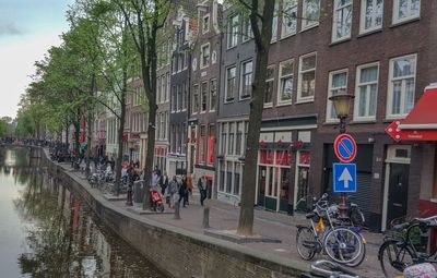 Bicycles by trees in city against sky