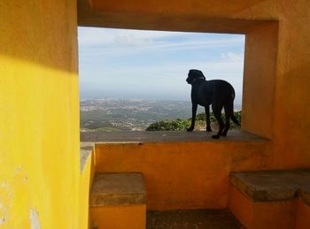 Horse standing by statue against sky