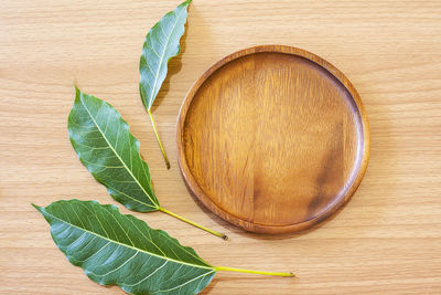 Directly above shot of fresh green leaves on table