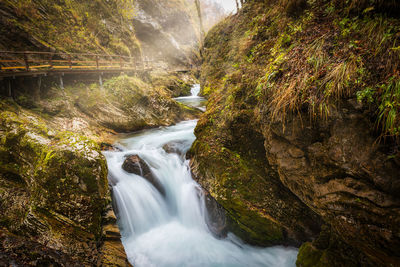 Stream flowing through rocks in forest