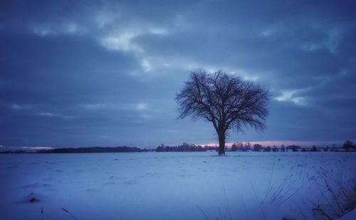 Bare tree by lake against sky during winter
