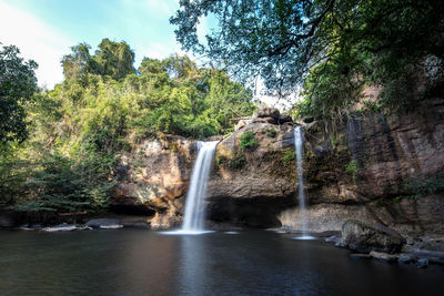 Scenic view of waterfall in forest