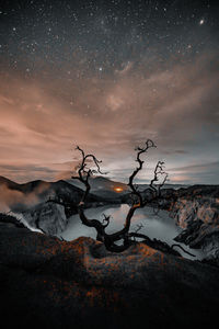 Driftwood on land against sky at night