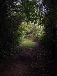 View of scenery with trees