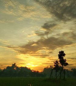 Silhouette trees on field against sky during sunset