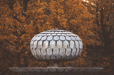 Close-up view of stone wall