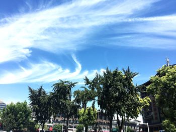 Low angle view of trees against sky