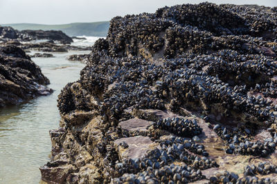 View of rock formation on beach