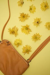 Close-up high angle view of yellow flowers