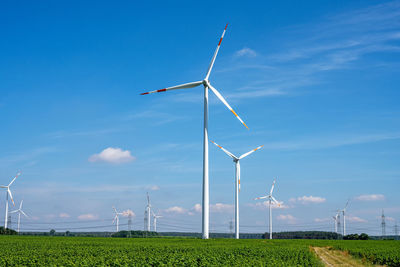 renewable energy