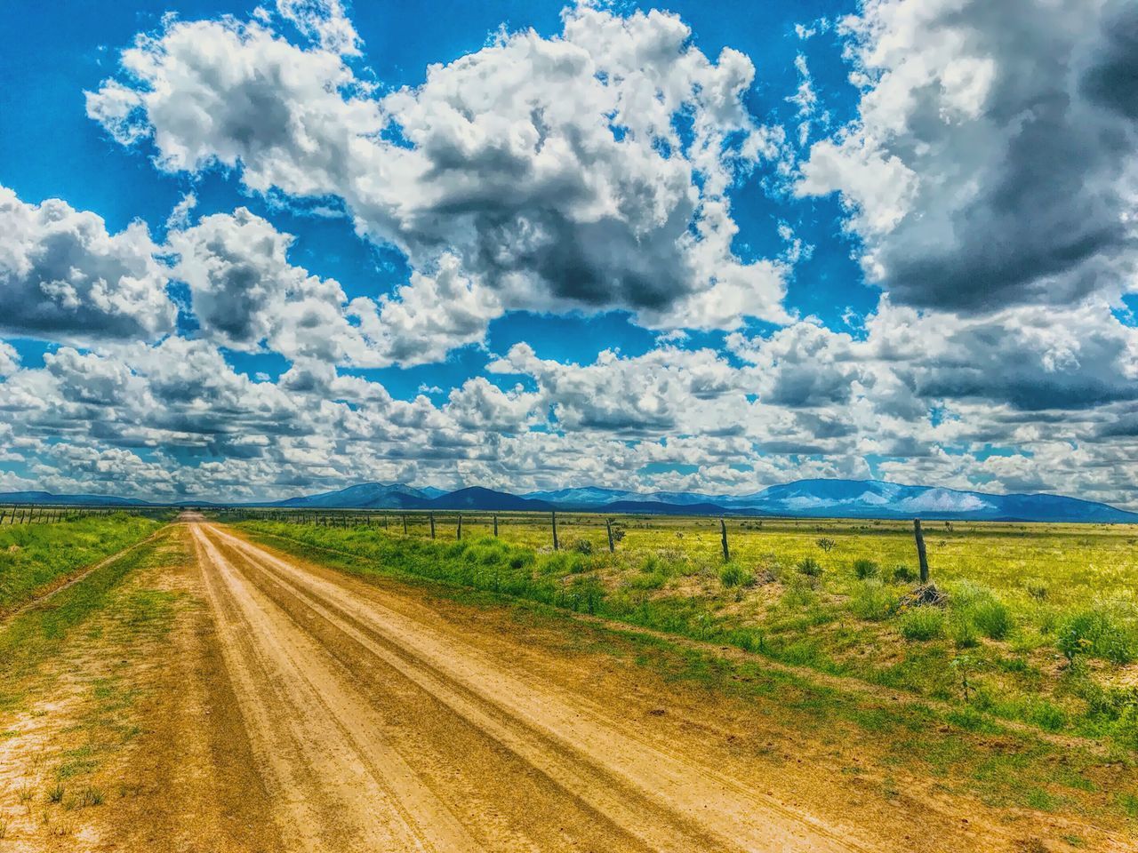 DIRT ROAD ALONG LANDSCAPE