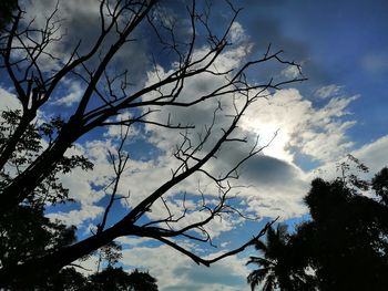 Low angle view of silhouette bare tree against sky