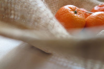 Close-up of food