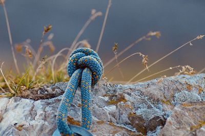 Close-up of rope on rock