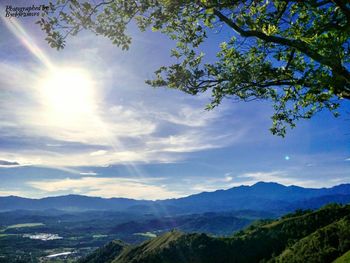 Scenic view of tree mountains against sky