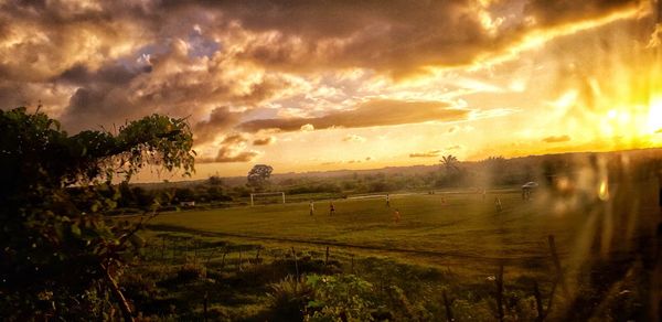 Scenic view of agricultural field against sky during sunset