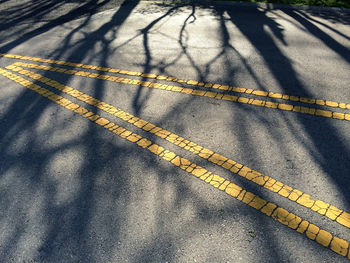 Shadow of people on road