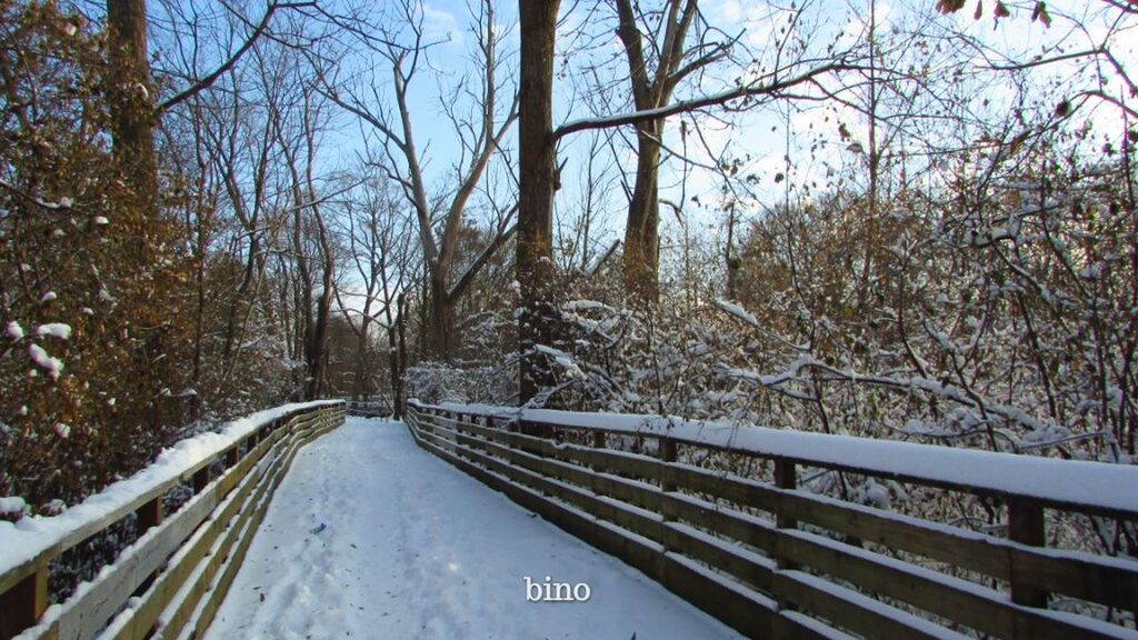tree, winter, railing, plant, no people, bare tree, nature, day, snow, cold temperature, transportation, branch, connection, outdoors, land, forest, architecture, text, sign, snowing