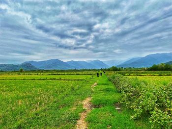 Scenic view of field against sky