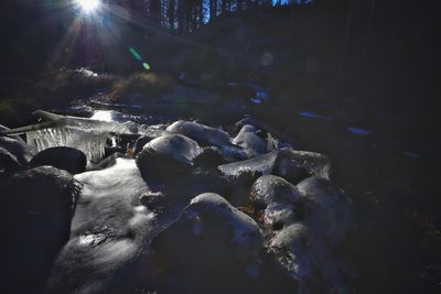 Panoramic view of rocks in forest during winter