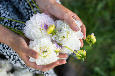 White dahlia flowers lie in women's hands