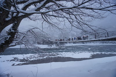 Bare trees in snow covered landscape