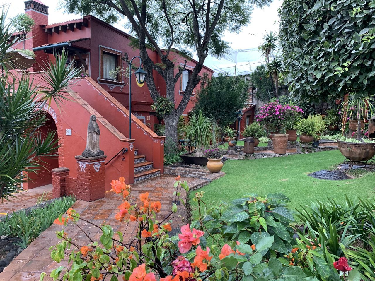 VIEW OF PLANTS IN GARDEN