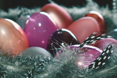 Close-up of pink flowers