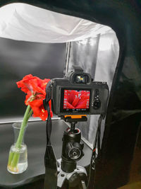 Close-up of red camera in vase