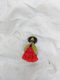 High angle view of dry leaves on plant during autumn