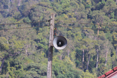 Low angle view of telephone pole against trees