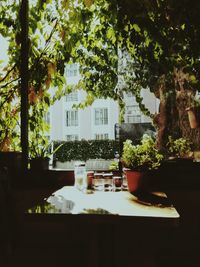 Potted plants on table against building