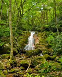 River flowing through rocks